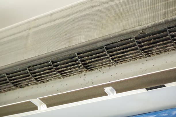 Best Air Duct Cleaning Near Me in La Vernia, TX